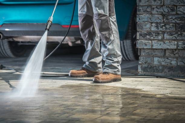 Best Warehouse Cleaning  in Whitg, IN