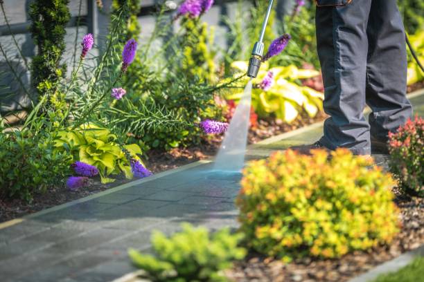 Whiting, IN Pressure Washing Services Company