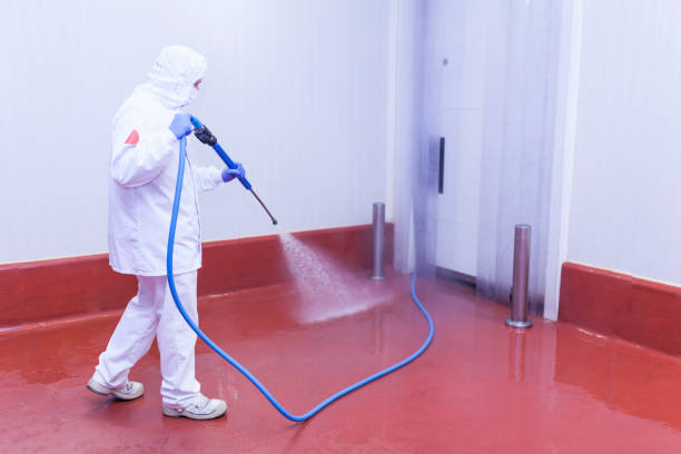  Whitg, IN Pressure Washing Pros