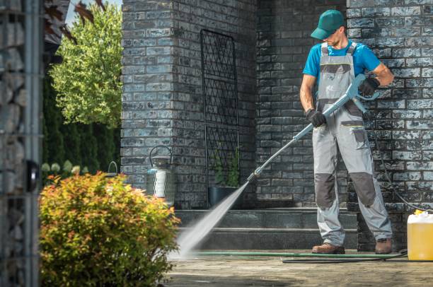 Best Spring Cleaning  in Whitg, IN