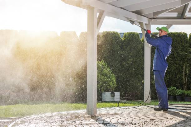 Best House Exterior Washing  in Whitg, IN
