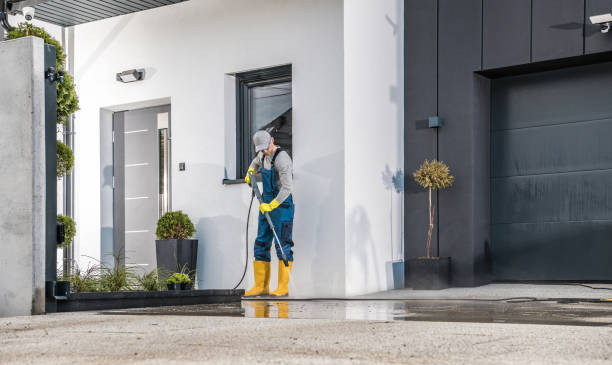 Best Soft Washing  in Whitg, IN