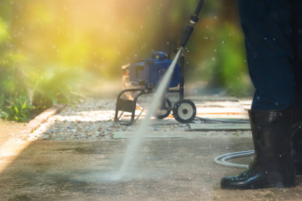 Best Fence Cleaning  in Whitg, IN